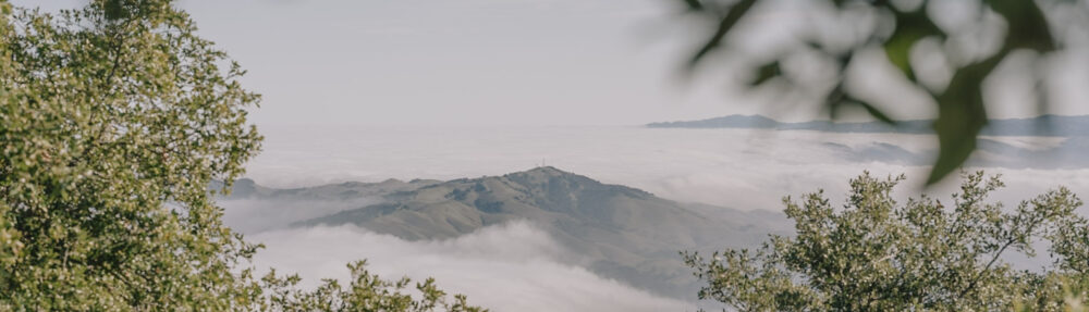 Engineering, Social Justice and Peace